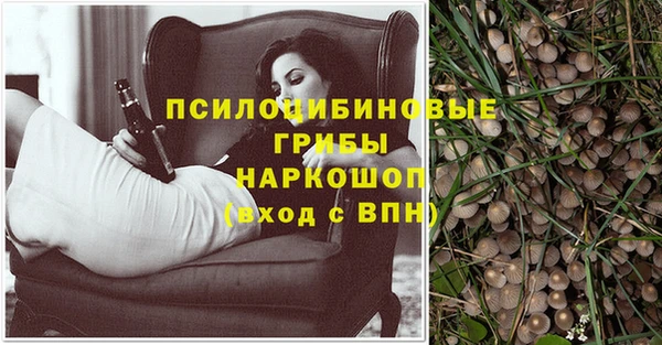 ECSTASY Аркадак