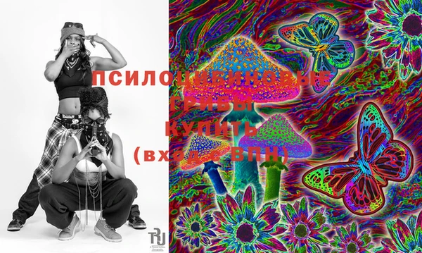 ECSTASY Аркадак