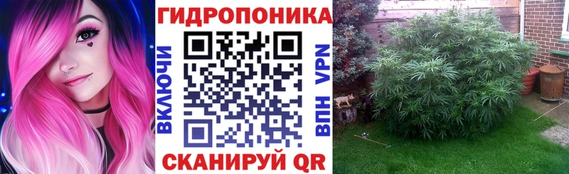 Каннабис марихуана  Вышний Волочёк 